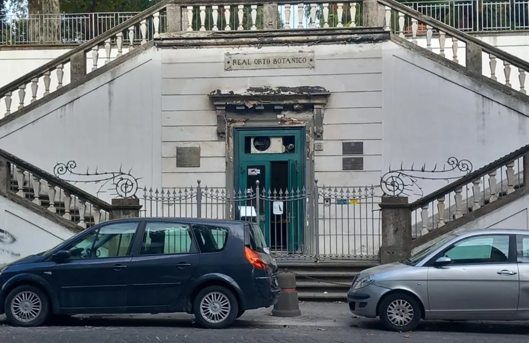 Oasi Carlo III-1